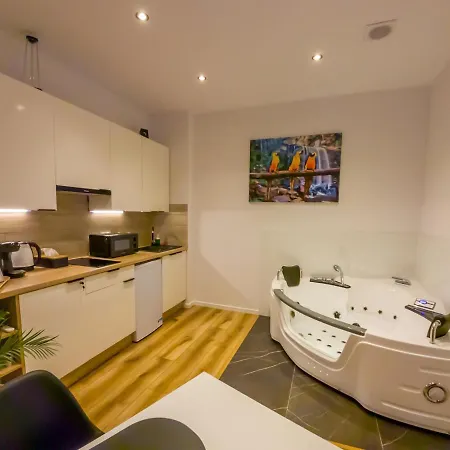 Punkt - Z Jacuzzi W Centrum Katowic Daire *