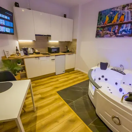 Punkt - Z Jacuzzi W Centrum Katowic Катовице