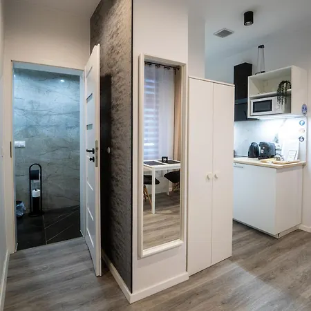 Punkt - Z Jacuzzi W Centrum Katowic Daire *