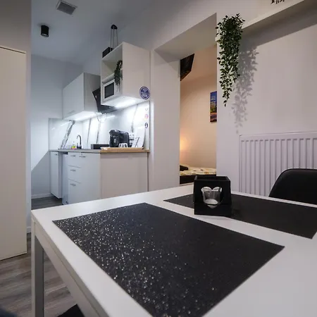 Punkt - Z Jacuzzi W Centrum Katowic Daire *