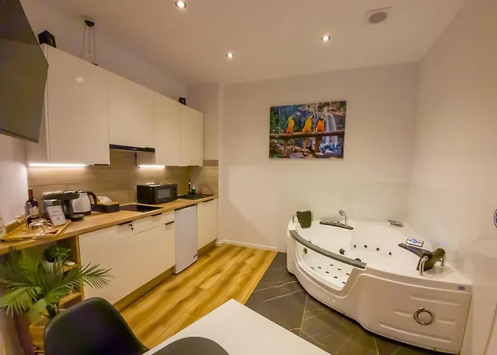 Punkt - Z Jacuzzi W Centrum Katowic Apartman *